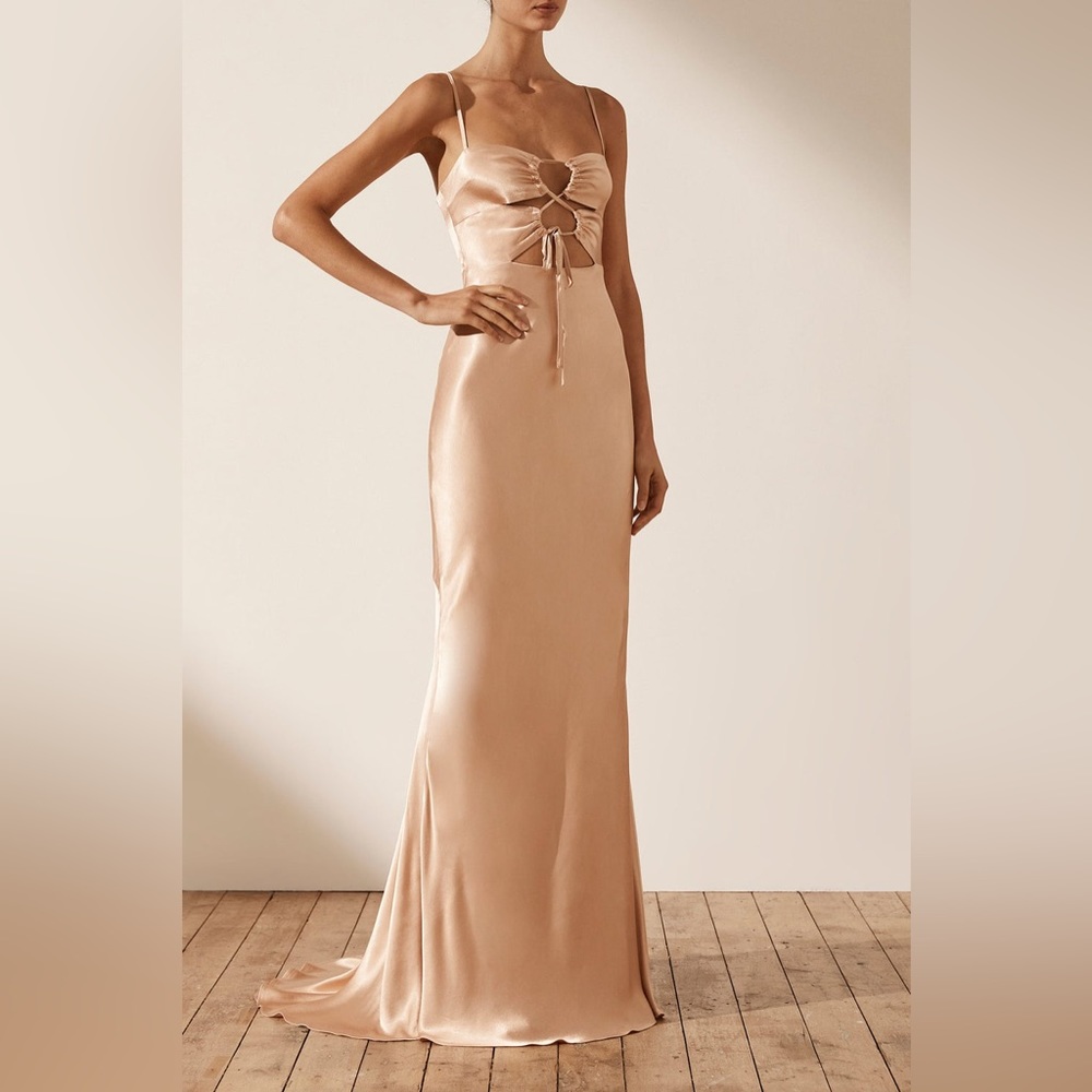 SHONA JOY NWT LA LUNE LACE FRONT MAXI DRESS - DESERT ROSE